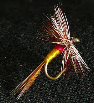 not many people still dress this with the hair from a ram's scrotum but still a great fly